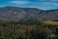 Widok ze schroniska na Hali Boraczej na Romankę