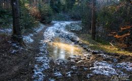 Podjazd z Przełęczy u Poloka na Lachowe Młaki