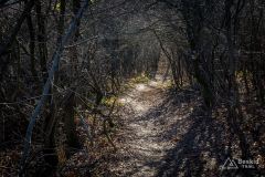 Zjazd ze Średniego Grojca