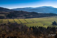 Na trawersie Grojca (w oddali "piramidka" Skała a za nią Romanka)