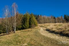 Zjazd spod Jastrzębicy na Przełęcz u Poloka