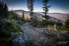 Podjazd z Przełęczy u Poloka na Lachowe Młaki