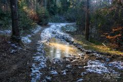 Podjazd z Przełęczy u Poloka na Lachowe Młaki