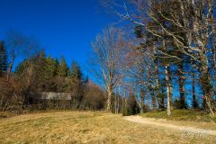 Podjazd z Przełęczy u Poloka na Lachowe Młaki