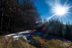 Podjazd z Przełęczy u Poloka na Lachowe Młaki