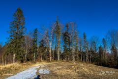 Podjazd z Przełęczy u Poloka na Lachowe Młaki - żółty szlak