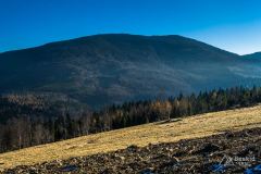 Podjazd z Przełęczy u Poloka na Lachowe Młaki - żółty szlak