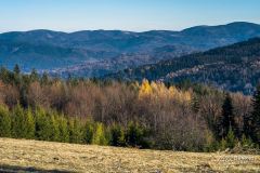 Podjazd z Przełęczy u Poloka na Lachowe Młaki - żółty szlak