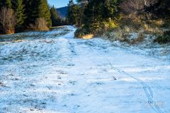 Zjazd ze Skały do Cięciny - na Hali Magura