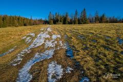 Podjazd z Abrahamowa na Skałę