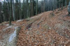 Niebieski szlak z Lachowych Młaków do Bystrej