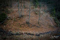 Niebieski szlak z Lachowych Młaków do Bystrej