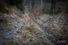 Niebieski szlak z Lachowych Młaków do Bystrej