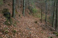 Niebieski szlak z Lachowych Młaków do Bystrej