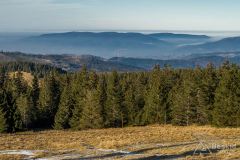 Na czerwonym szlaku pomiędzy Halą Miziową a granicą PL/SK