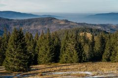 Na czerwonym szlaku pomiędzy Halą Miziową a granicą PL/SK