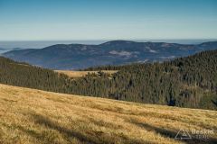 Hala Cudzichowa i Hala Jodłowcowa