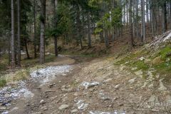Podjazd czarnym szlakiem z Żabnicy -Skałka na Halę Boraczą
