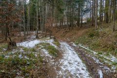 Podjazd czarnym szlakiem z Żabnicy -Skałka na Halę Boraczą