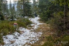 Zjazd z Trzech Kopców na Przełęcz Bory Orawskie