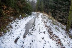 Trail/singiel z Zapolanki na Halę Cukiernica (pod Redykalnym Wierchem)