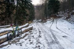 Bezszlakowy podjazd leśną drogą na grzbiet pod Jaworzyną