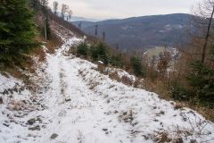 Górna stokówka (nad Kocierzem Moszczaniskim) pod Przykrzycą