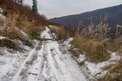 Górna stokówka (nad Kocierzem Moszczaniskim) pod Przykrzycą