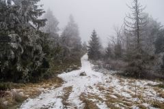 Czerwony szlak z Wielkiej Raczy na Przełęcz Przegibek