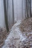 Czerwony szlak z Wielkiej Raczy na Przełęcz Przegibek