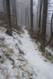 Czerwony szlak z Wielkiej Raczy na Przełęcz Przegibek
