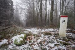 Czerwony szlak z  Przełęczy Przegibek na Rycerzową