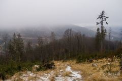 Niebieski szlak z Rycerzowej na Przełęcz Przegibek