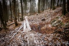 Niebieski szlak z Rycerzowej na Przełęcz Przegibek