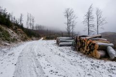 Szutrówka z Rycerki dol.  Rycerek pod niebieski szlak na Bendoszkę Wielką
