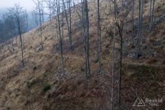Zielony szlak z Przełęczy Przegibek do Rycerki Górnej Kolonia