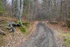 Na czerwonym szlaku na Czupel