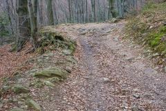 Na czerwonym szlaku na Czupel