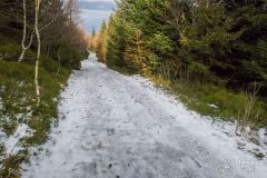 Początek czerwonego szlaku z Magurki Wilkowickiej