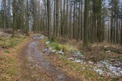 Czerwony szlak w okolicy Przełęczy u Panienki