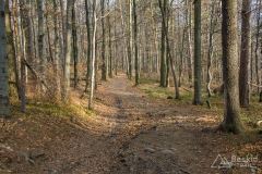 Czerwony szlak z Chrobaczej Łąki do Porąbki