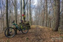 Na Bujakowskim Groniu