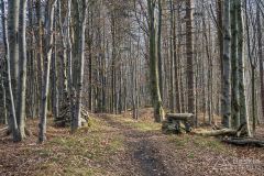 Singiel na Bujakowskim Groniu