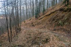 Żółty szlak z Międzybrodzia Bialskiego na Magurkę Wilkowicką