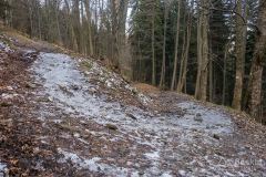 Żółty szlak z Międzybrodzia Bialskiego na Magurkę Wilkowicką