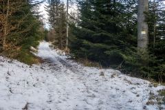 Żółty szlak z Międzybrodzia Bialskiego na Magurkę Wilkowicką