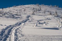 Skitury Grześ i Rakoń