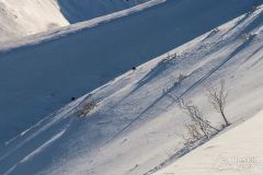 Skitury Grześ i Rakoń