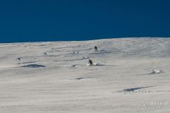 Skitury Grześ i Rakoń