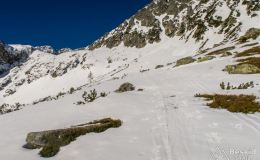 IMG_5627
